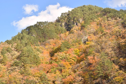 Iwate autumn ©  Raita Futo