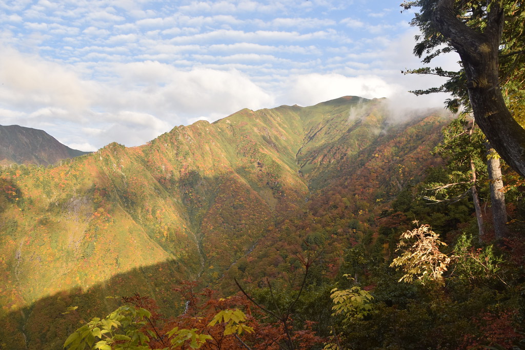 : Niigata mountains