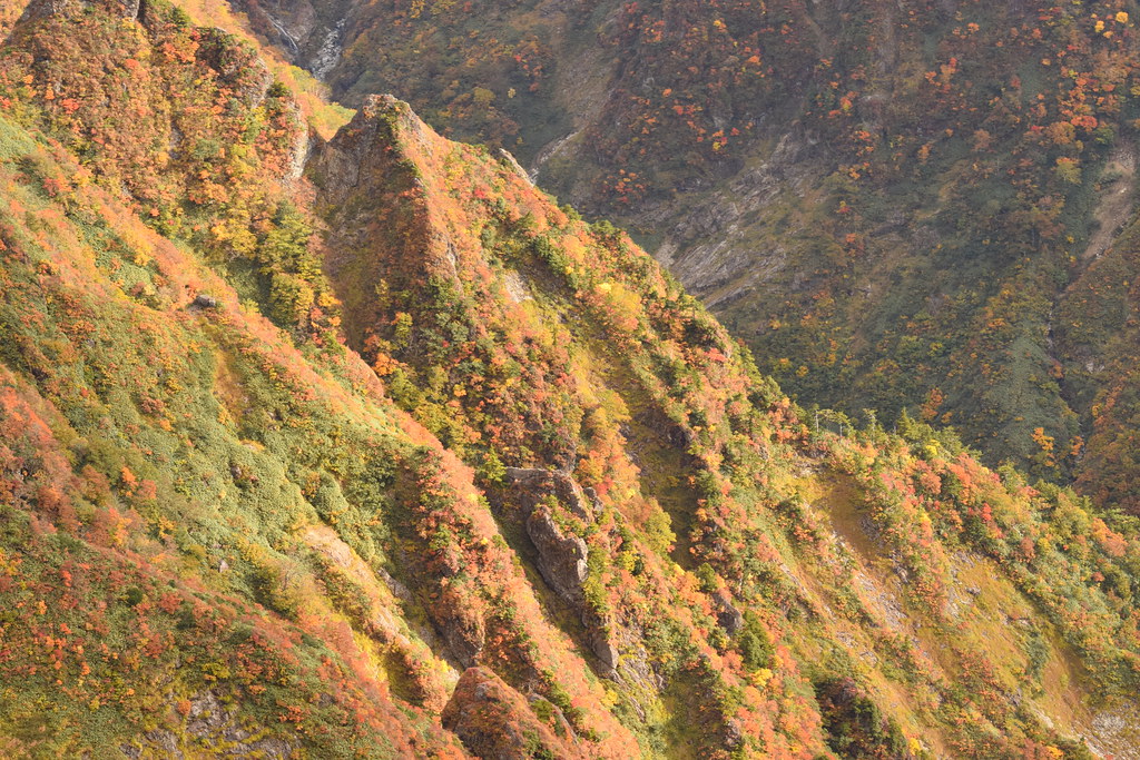 : Tanigawa slopes