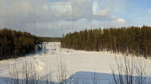 From the train window ©  Egor Plenkin