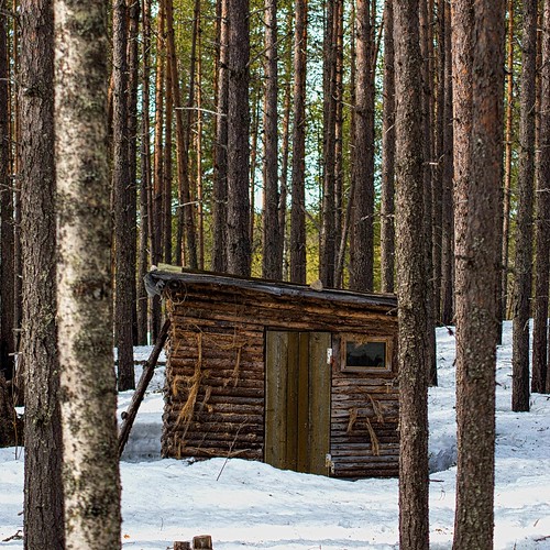 Hunting lodge ©  Egor Plenkin