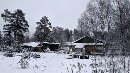 Snow covered yard ©  Egor Plenkin