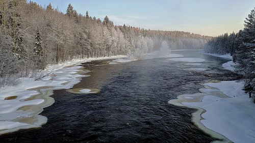 Frost on the river ©  Egor Plenkin