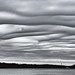 Asperitas Clouds above the Shark River