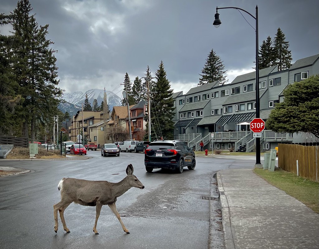 : Banff, Alberta, Canada 