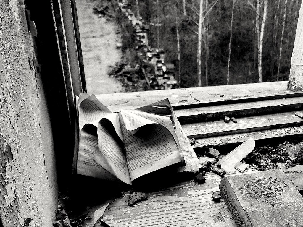 фото: The wind reads this book
