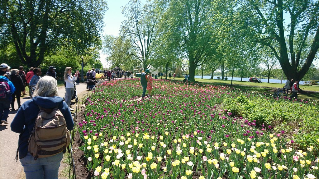 : Festival canadien des Tulipes `a Ottawa