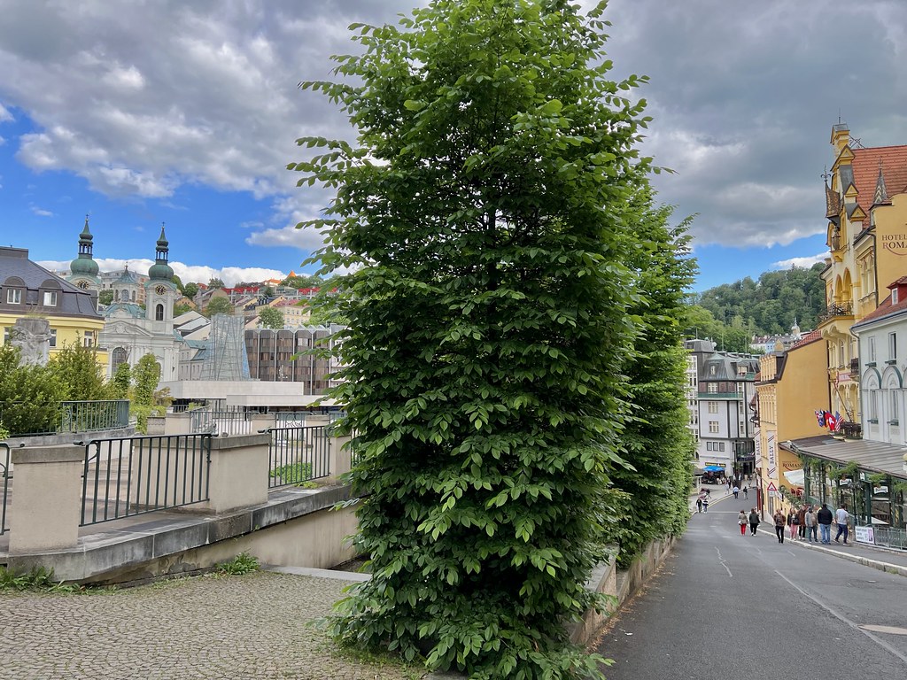: Karlovy Vary, Czech Republic / Czechia / Cesko