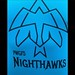 16U Nighthawks