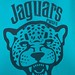 8U Jaguars