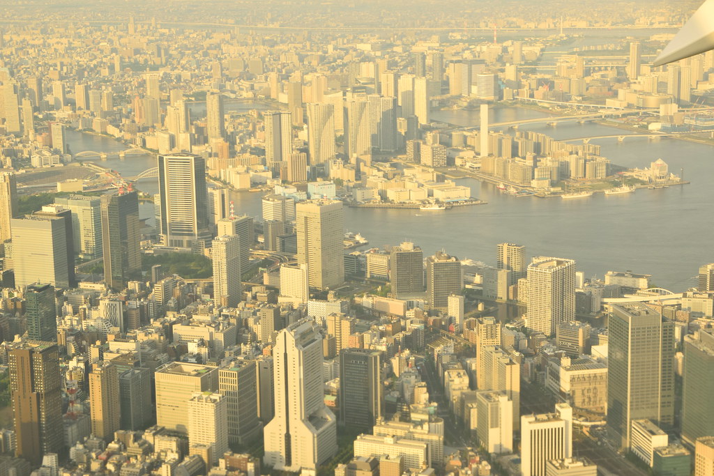 : Central Tokyo from the airplane