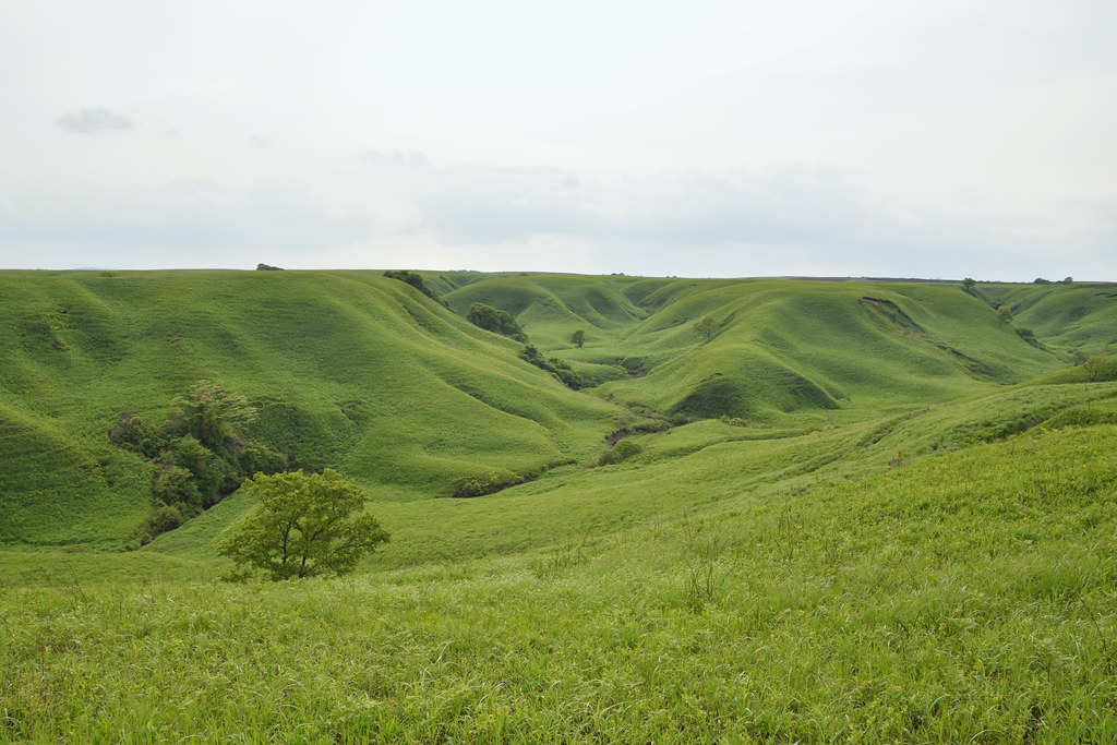 : Aso green hills