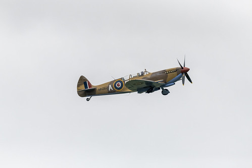 Warbirds Over Ardmore - Spitfire ©  maticulous