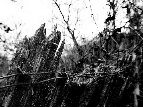 Barbed wire in black ©  Sergei F