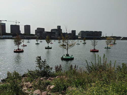 Floating garden in Rotterdam ©  Aleksandr Zykov