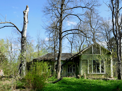 Abandoned house and dead trees ©  Sergei F
