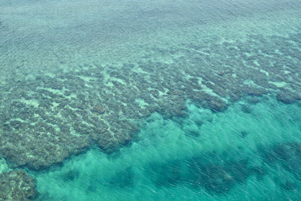 : Miyako Coral Reefs