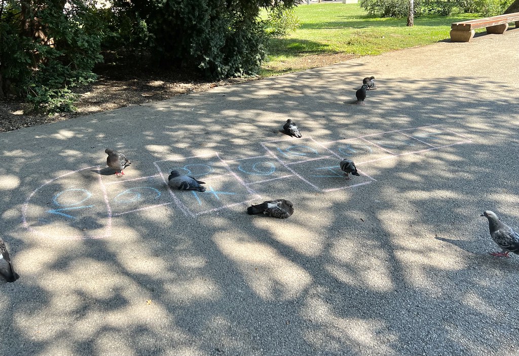 : Hopscotch pigeons , Zrinjevac Park, Zagreb, Croatia