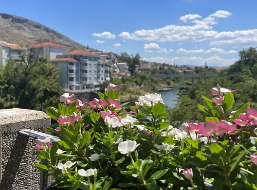 Mostar, Bosnia and Herzegovina ©  Sharon Hahn Darlin