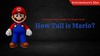 How Tall is Mario: The Complete Super Mario Encyclopedia