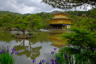 XE3F3490 - Kinkaku-ji - 金閣寺 - Pabellón de Oro - Golden Pavilion (Kioto - Kyoto - 京都)