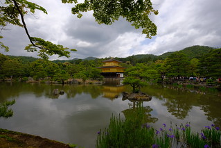 XE3F3436 - Kinkaku-ji - 金閣寺 - Pabellón de Oro - Golden Pavilion (Kioto - Kyoto - 京都)