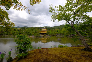 XE3F3463 - Kinkaku-ji - 金閣寺 - Pabellón de Oro - Golden Pavilion (Kioto - Kyoto - 京都)