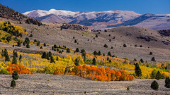 Fall in the Eastern Sierra