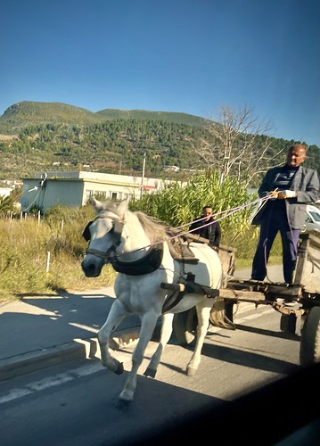 Horse cart, Elbasan, Albania ©  Sharon Hahn Darlin