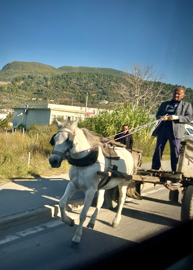 : Horse cart, Elbasan, Albania