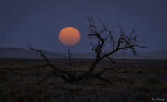Sunset at Namibia desert (Explore takeover Earth Day 4-24-2024)