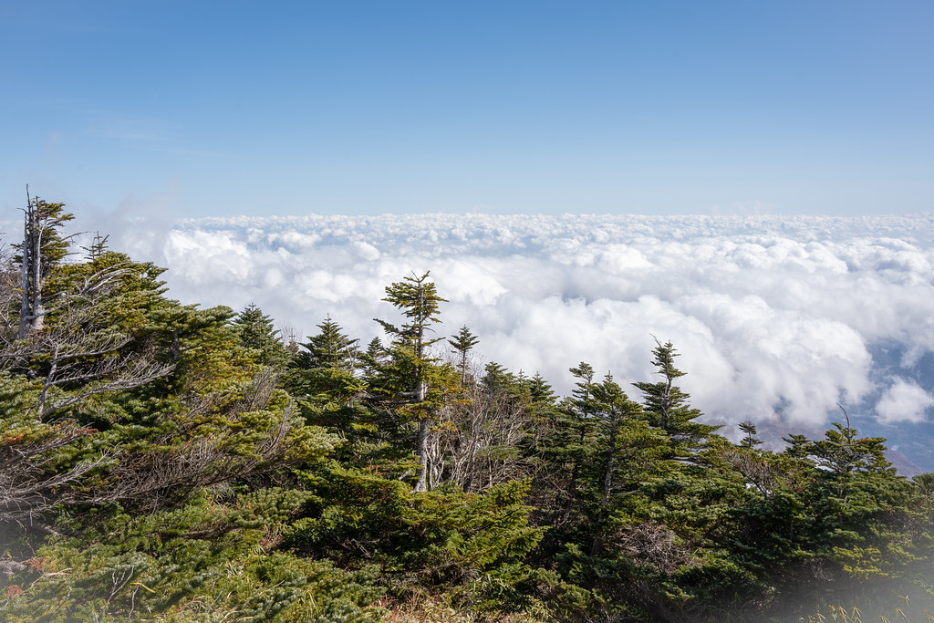 : Nikko above the clouds