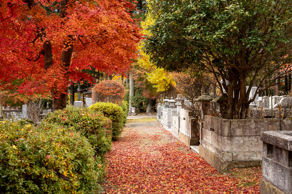 : Japan graveyard in Autumn