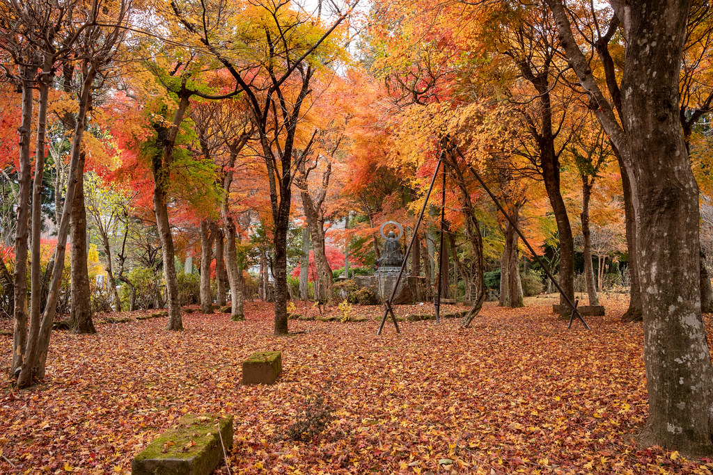 : Autumn in Myounji Shrine