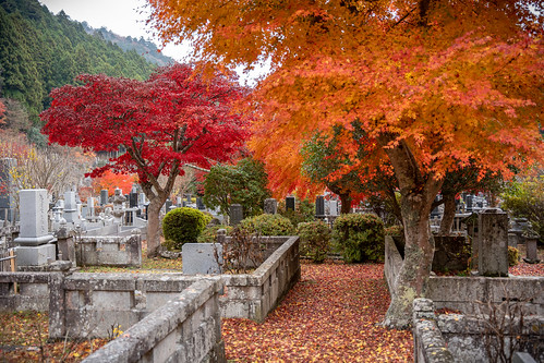 Japan graveyard in Autumn ©  Raita Futo
