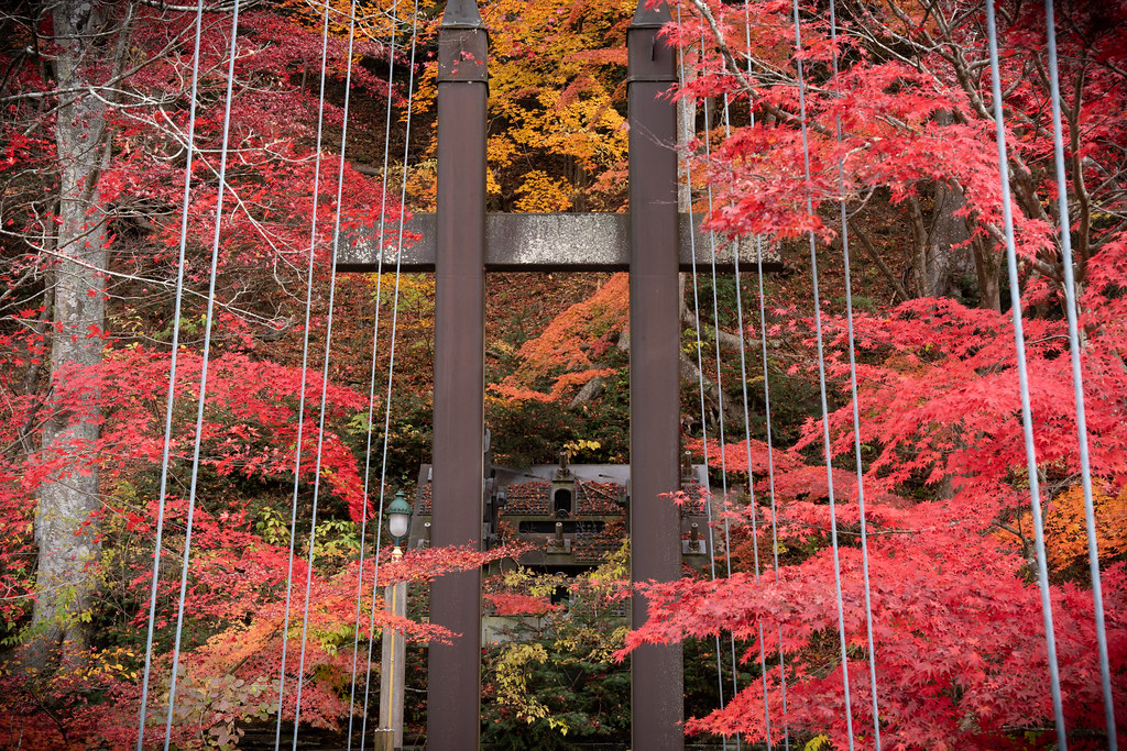 : Autumn bridge in Nasu, Tochigi