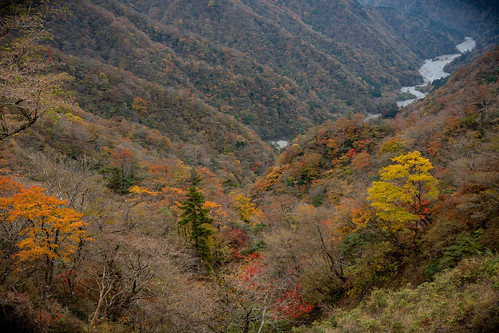 Kanagawa autumn ©  Raita Futo