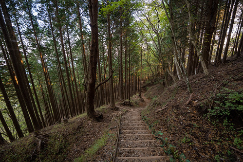 Tanzawa trail ©  Raita Futo