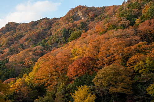 Colorful autumn of Ibaraki ©  Raita Futo