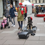 Big Issue seller and his dog, Bath High Street
