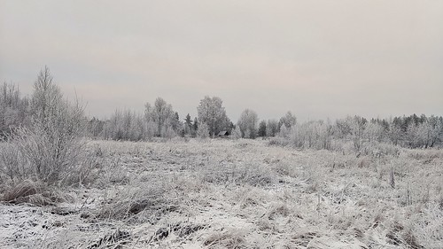 White Day ©  Egor Plenkin