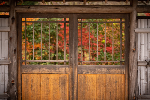 Autumn in Japan ©  Raita Futo