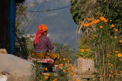 Balthali, Panauti Nepal