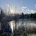#riverwear #mountpleasant #washington #england #winterlight