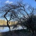 #riverwear #mountpleasant #washington #england #winterlight