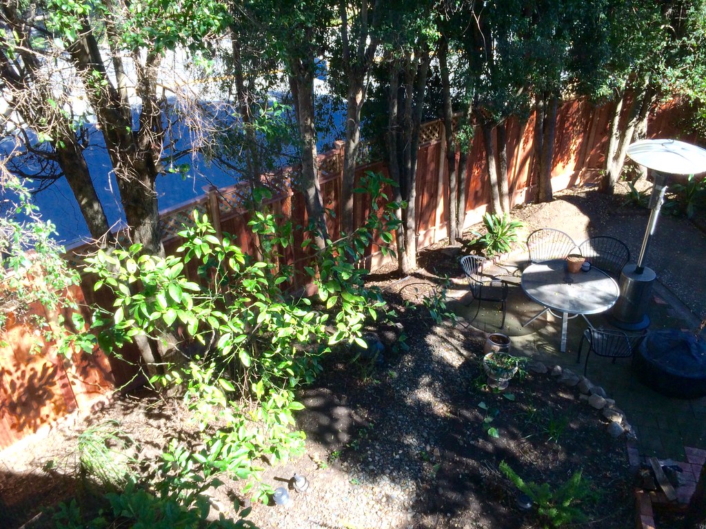: Backyard fence replaced (March 11, 2014)