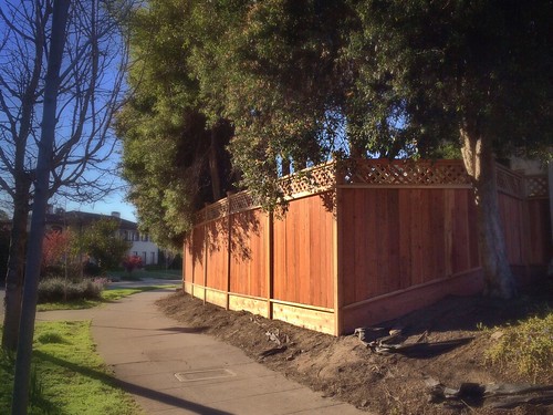 New cedar fence (March 12, 2014) ©  Sharon Hahn Darlin