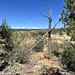 Spruce Canyon - Mesa Verde