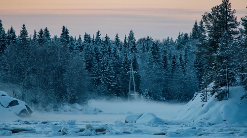 Frost near the village ©  Egor Plenkin
