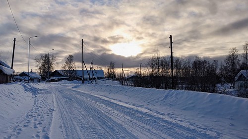 Quiet road ©  Egor Plenkin